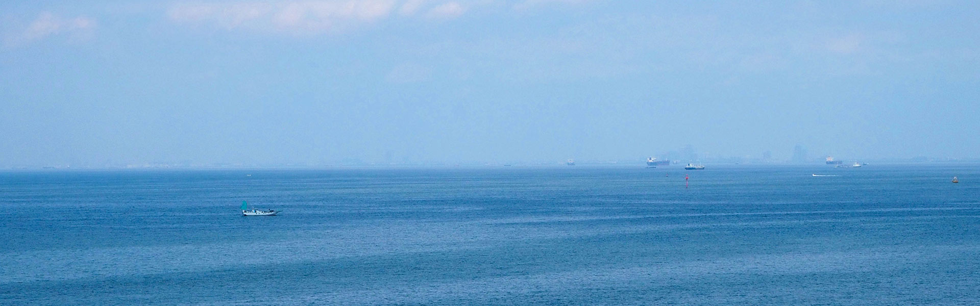 株式会社泊野海洋